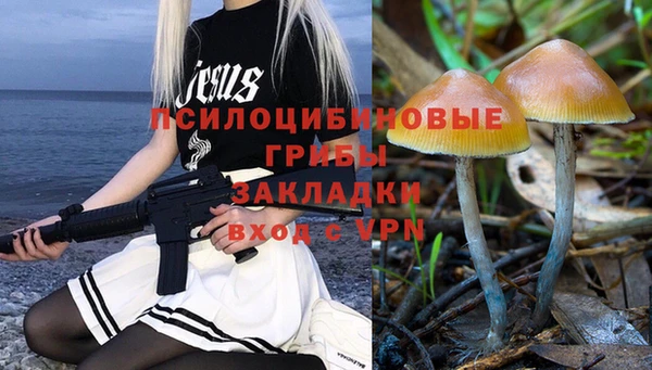 метадон Алексеевка